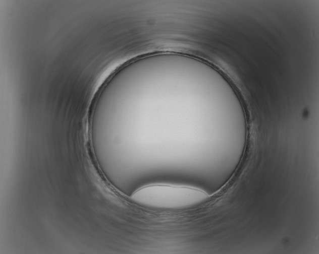 X0000116460891200912090924