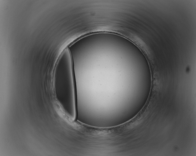 X0000116460892200912090924