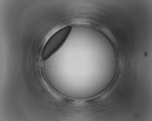 X0000116460893200912090924