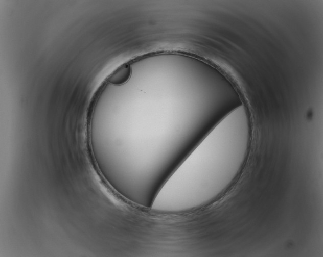 X0000116460894200912090924