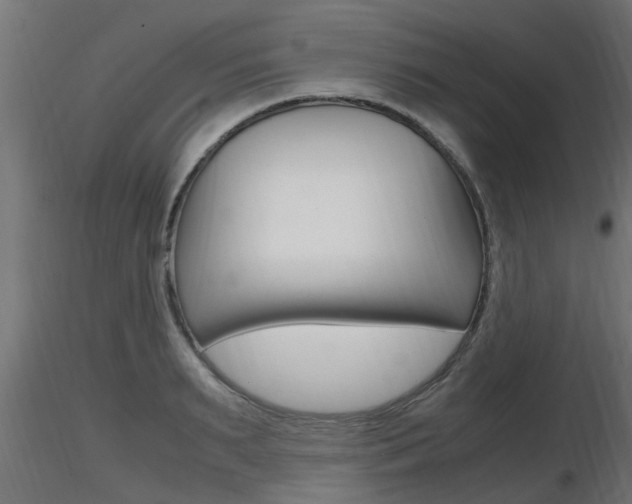 X0000116460895200912090924
