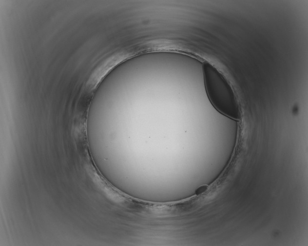 X0000116460897200912090924
