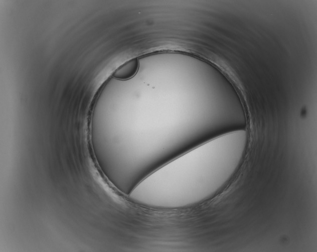 X0000116460898200912090924