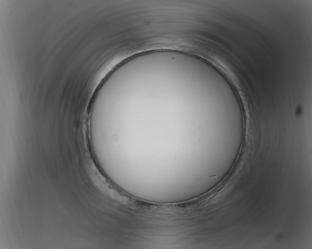 X0000116460899200912090924