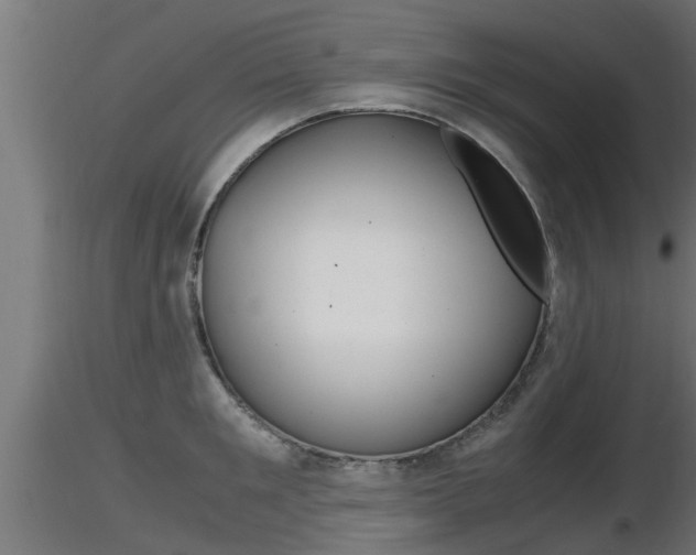 X0000116460901200912090924