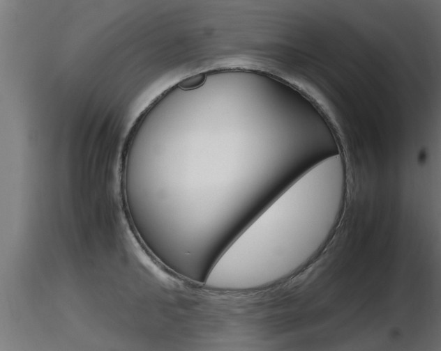 X0000116460902200912090924