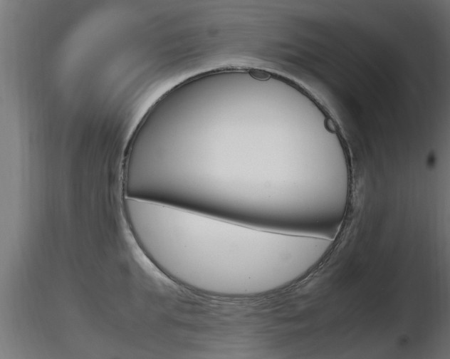 X0000116460903200912090924