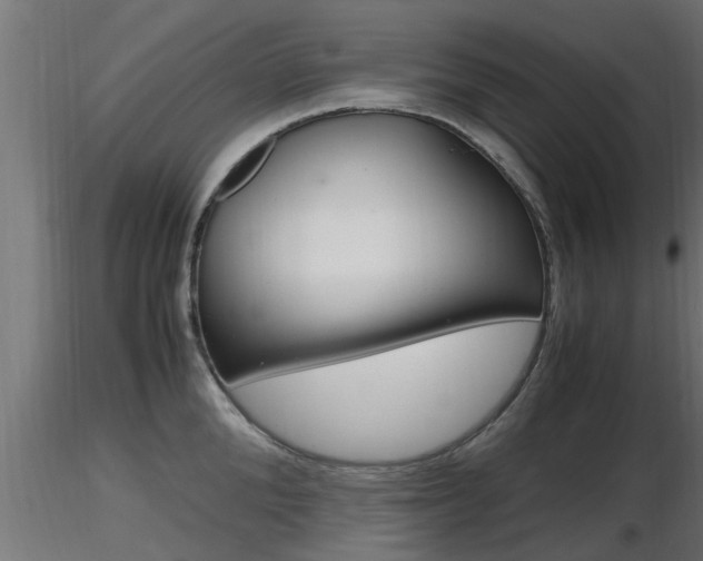 X0000116460904200912090924