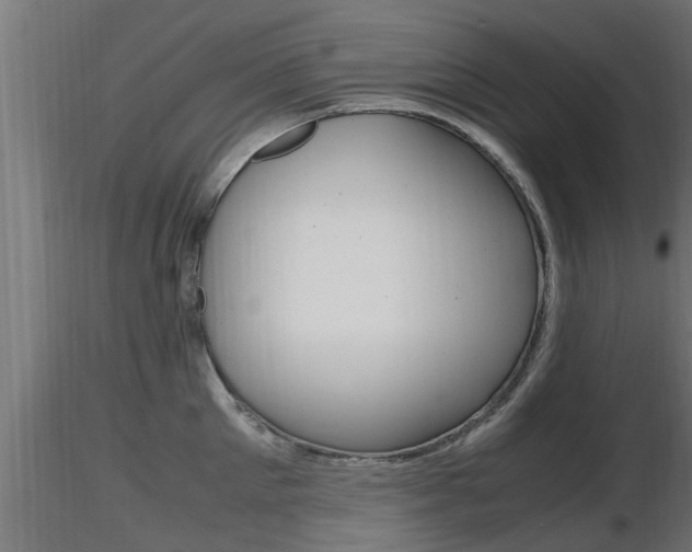 X0000116460905200912090924