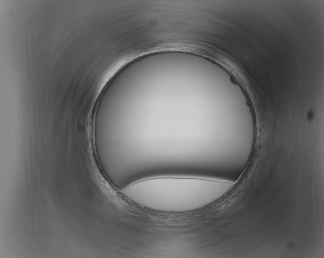 X0000116460907200912090924
