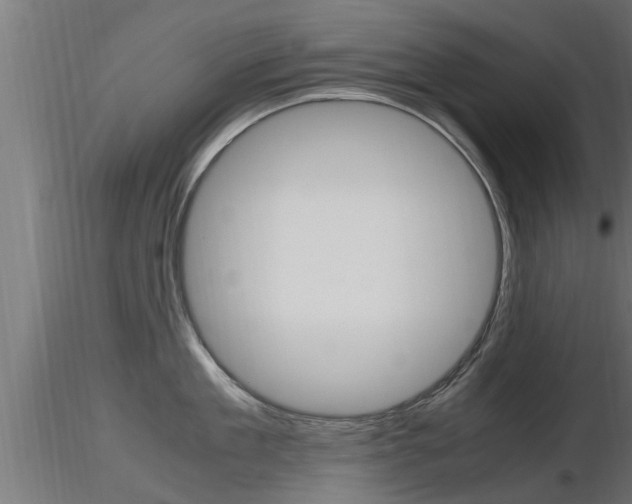 X0000116460909200912090924