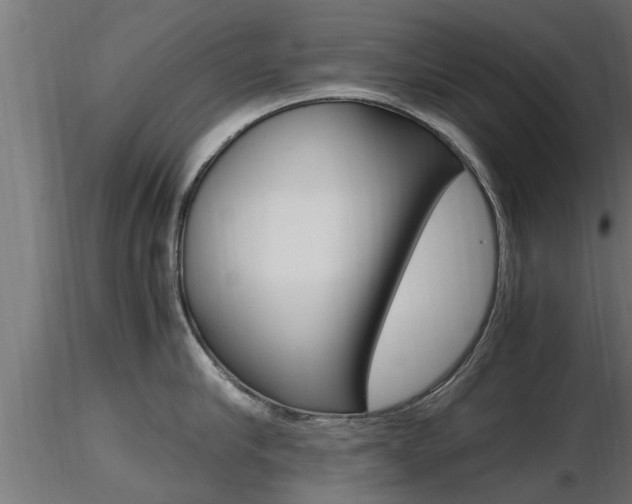 X0000116460910200912090924