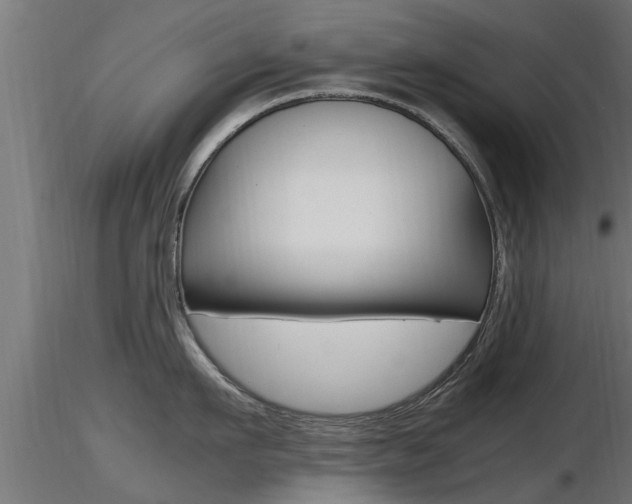 X0000116460911200912090924