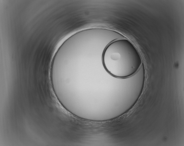 X0000116460912200912090924