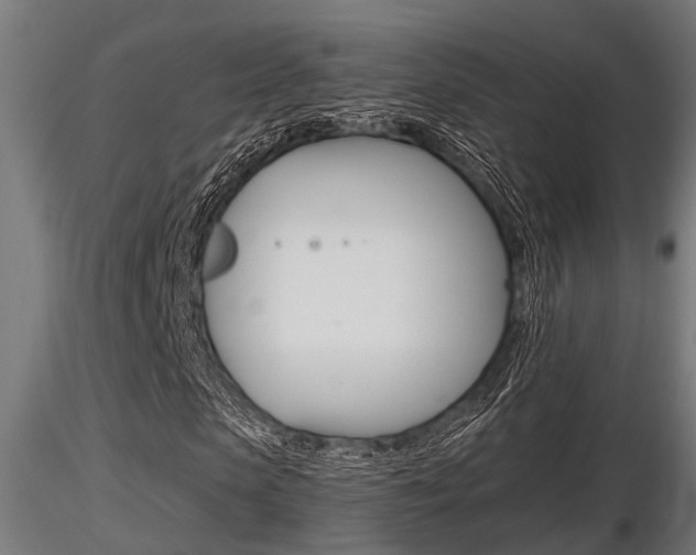 X0000116460913200912090924