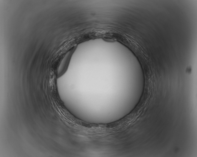 X0000116460914200912090924