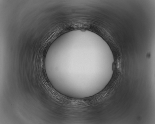 X0000116460915200912090924