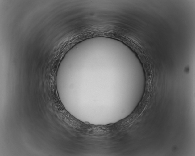 X0000116460917200912090924