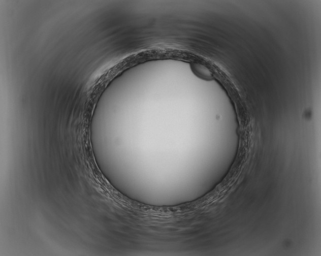 X0000116460919200912090924