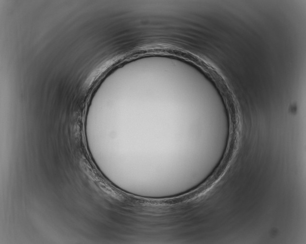 X0000116460921200912090924