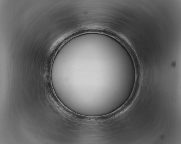 X0000116460922200912090924