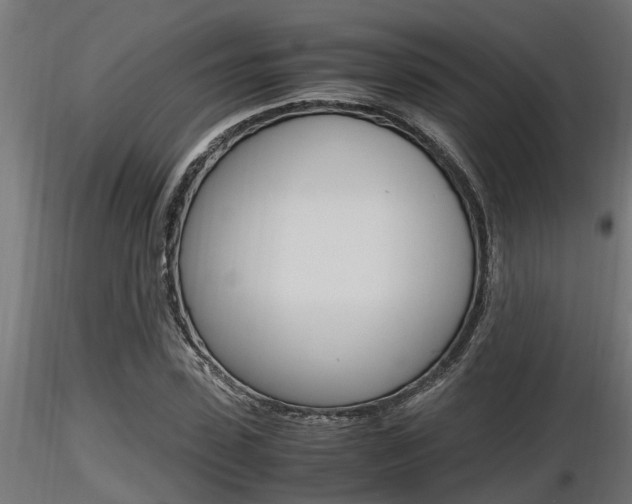 X0000116460923200912090924