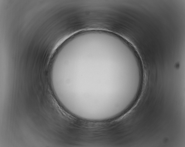 X0000116460925200912090924