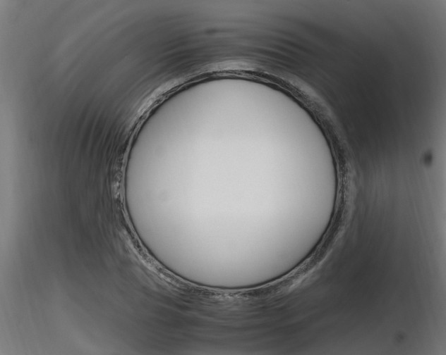 X0000116460929200912090924