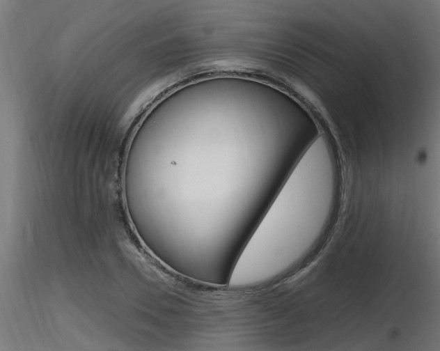 X0000116460930200912090924