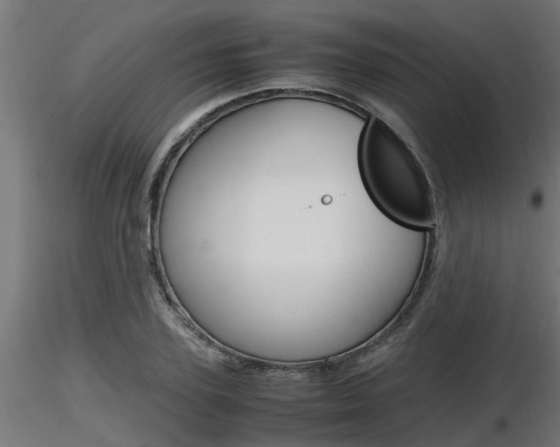 X0000116460931200912090924