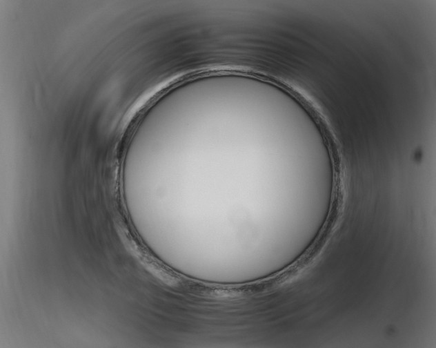 X0000116460933200912090924