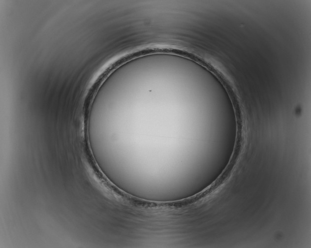 X0000116460934200912090924