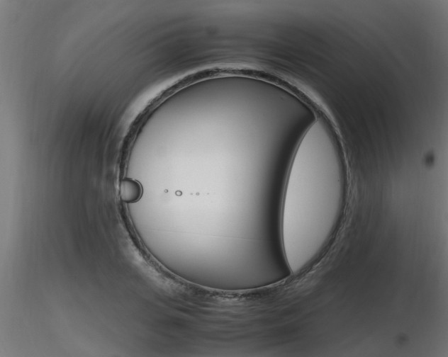 X0000116460935200912090924
