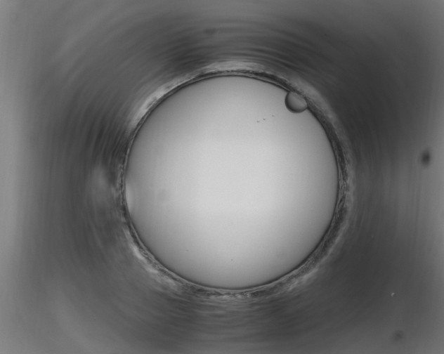 X0000116460937200912090924