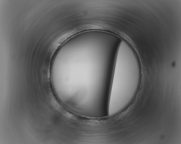 X0000116460938200912090924