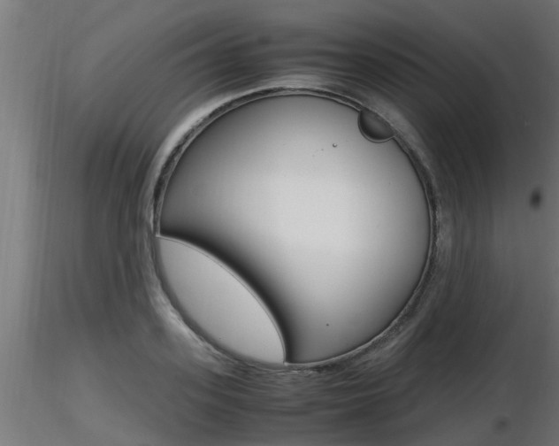 X0000116460939200912090924