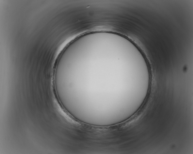 X0000116460941200912090924