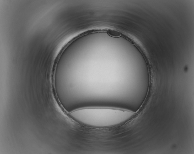 X0000116460943200912090924
