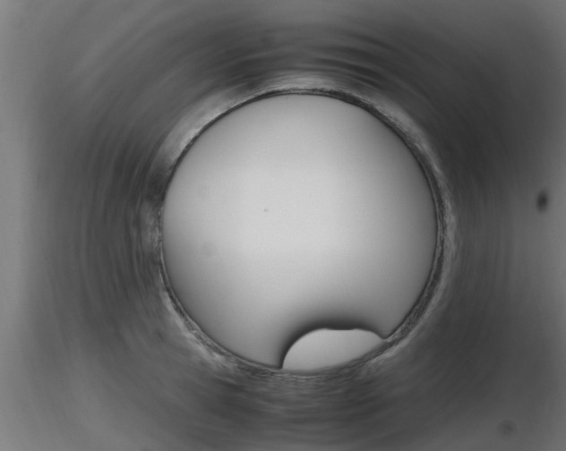 X0000116460945200912090924