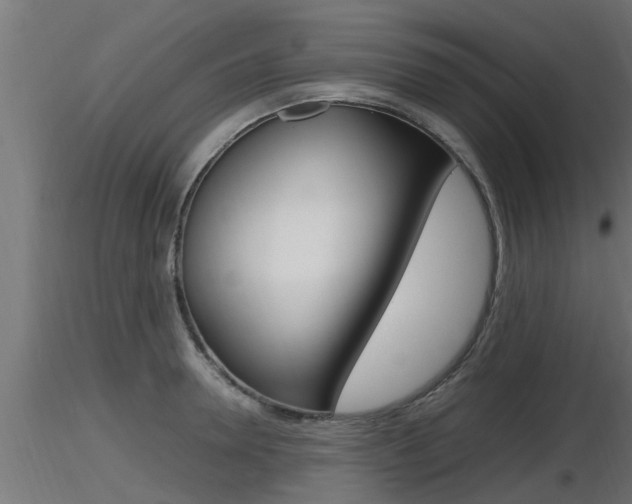 X0000116460946200912090924