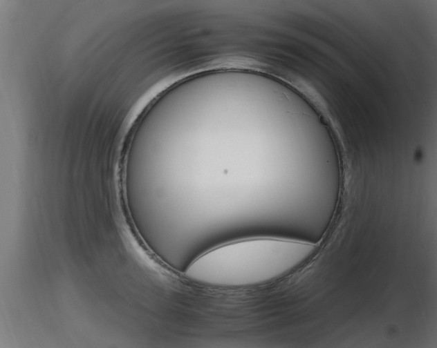 X0000116460947200912090924