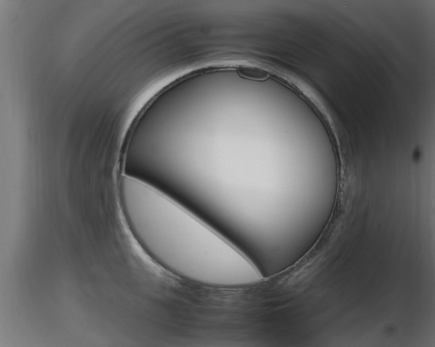 X0000116460951200912090924