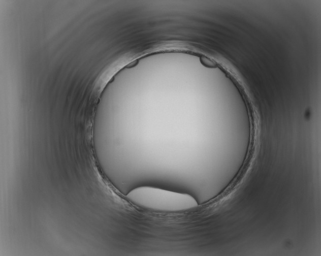 X0000116460953200912090924