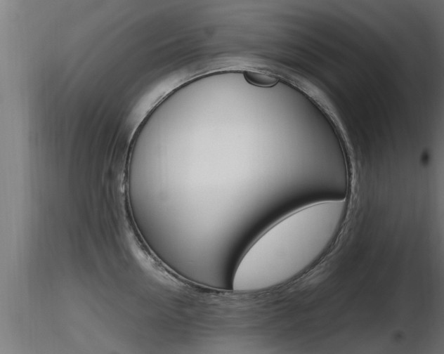X0000116460954200912090924