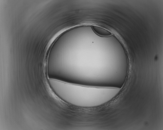 X0000116460955200912090924