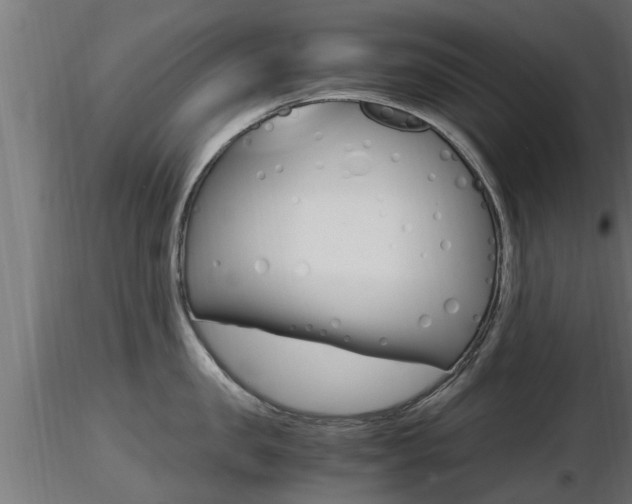 X0000116460957200912090924