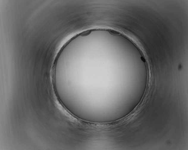 X0000116460958200912090924