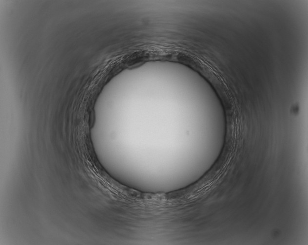 X0000116460961200912090924