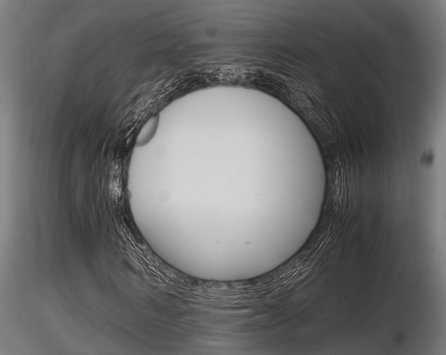 X0000116460962200912090923