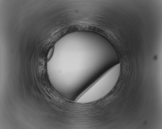 X0000116460964200912090923
